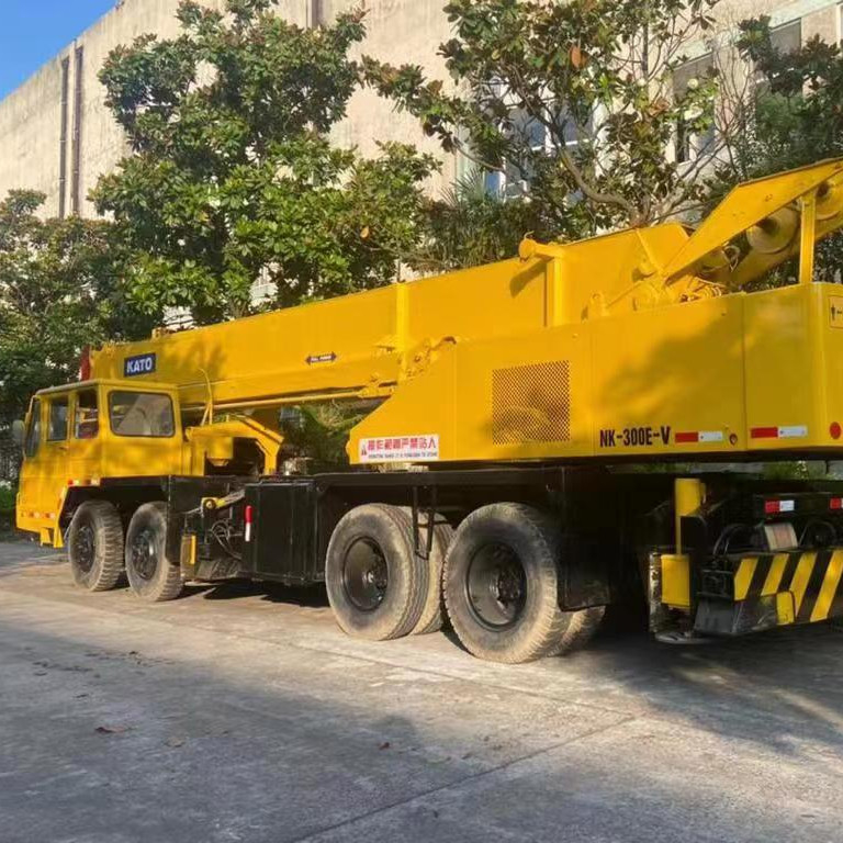 30 TON Max. Gebrauchtes LKW-Kran für das Heben von Lasten NK250E-V NK300E-V für schwere Arbeiten